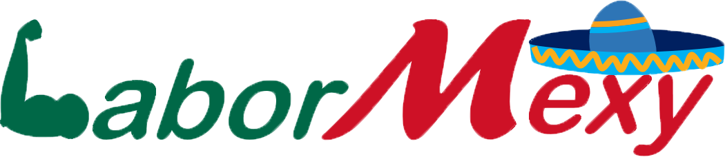 Logo labormexy